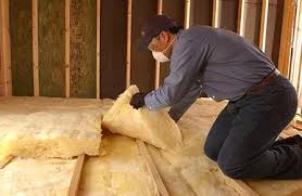 Best Wall Insulation Installation  in Rushford, MN