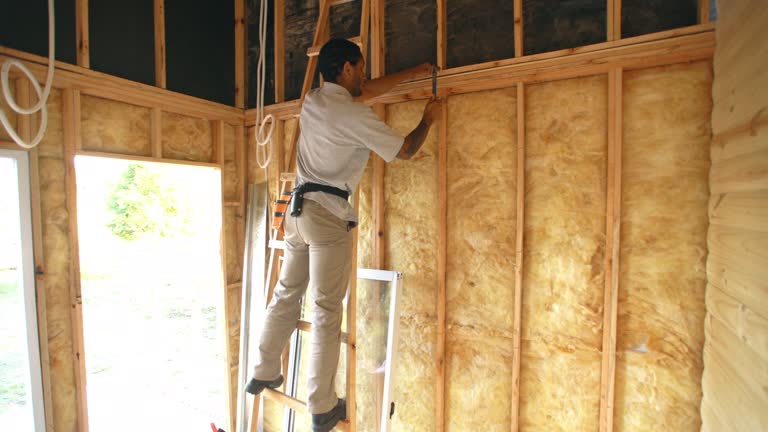 Best Insulation Air Sealing  in Rushford, MN