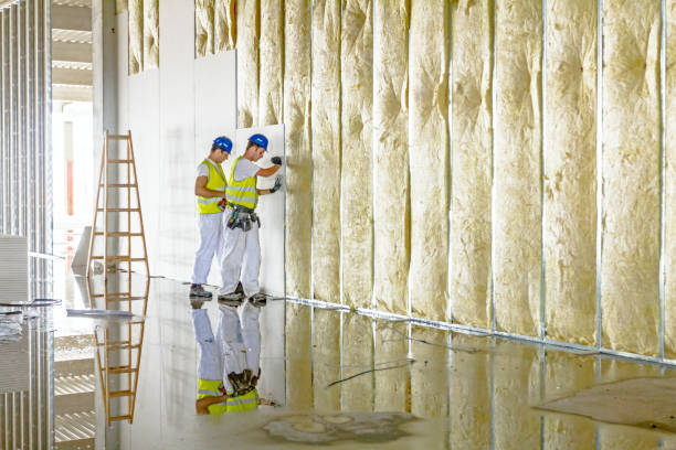 Best Fireproof Insulation  in Rushford, MN